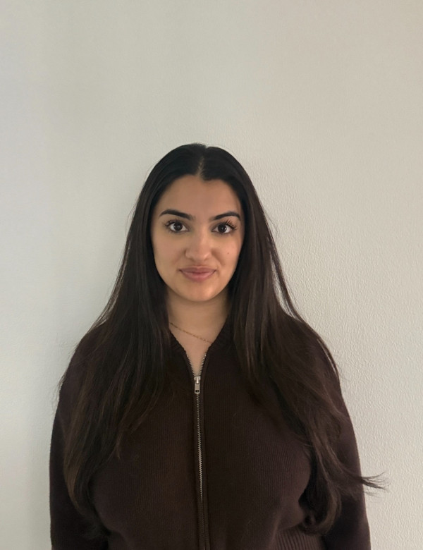 Zena Dib